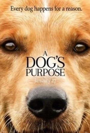 A Dog&#039;s Purpose (2017)