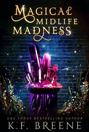Magical Midlife Madness (Levelling Up Book #1)