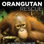 Orangutan Rescue: Saving Borneo&#039;s Orangutans