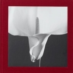 Mapplethorpe Flora: The Complete Flowers