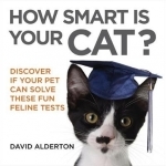 How Smart is Your Cat?: Discover If Your Pet Can Solve These Fun Feline Tests