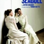 The Seagull