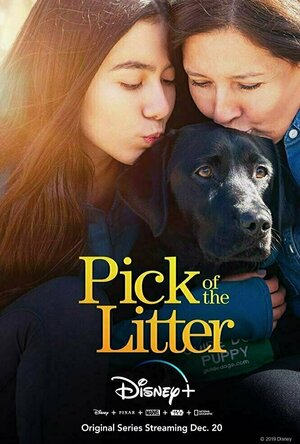 Pick of the Litter (2018)