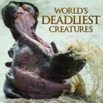 World&#039;s Deadliest Creatures