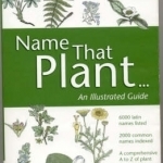 Name That Plant: An Illustrated Guide