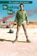 Breaking Bad  - Season 1