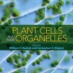 Plant Cells and Their Organelles