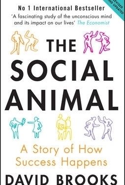 The Social Animal: A Story of How Success Happens