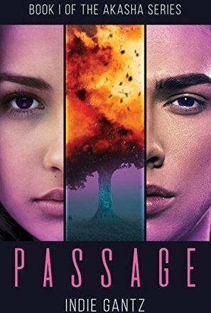 Passage (The Akasha Series #1)