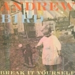 Break It Yourself by Andrew Bird