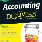 1,001 Accounting Practice Problems For Dummies