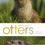 RSPB Spotlight: Otters