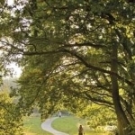 The Rough Guide to Walks in London & the Southeast
