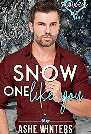 Snow One Like You (Snowed In - Valentine&#039;s Inc #9)