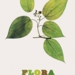 Nick Knight - Flora