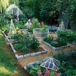 Backyard Ideas