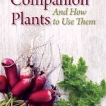 Companion Plants and How to Use Them