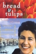 Bread &amp; Tulips (2001)