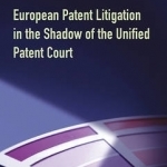 European Patent Litigation in the Shadow of the Unified Patent Court