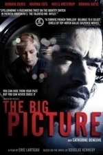 The Big Picture (2012)
