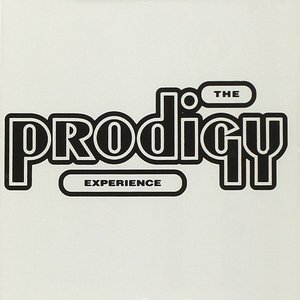 Experience by The Prodigy