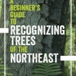 A Beginner&#039;s Guide to Recognizing Trees of the Northeast
