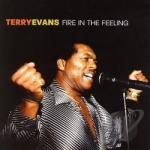 Fire in the Feeling by Terry Evans