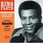 I Feel Like Dynamite: The Early Chimneyville Singles and More 1970-74 by King Floyd