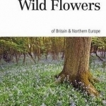 Naturalist&#039;s Guide to the Wild Flowers of Britain &amp; Europe