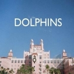 Dolphins by The Dolphins