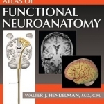 Atlas of Functional Neuroanatomy