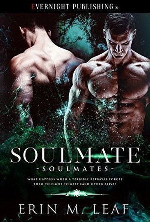 Soulmate (Soulmates #1)