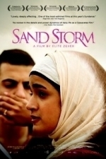 Sand Storm (Sufat Chol) (2016)