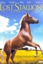 Lost Stallions: The Journey Home (2008)