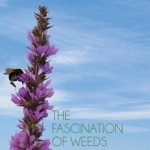 The Fascination of Weeds