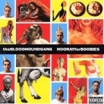 Hooray for Boobies by Bloodhound Gang