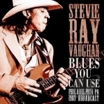 Blues You Can Use by Stevie Ray Vaughan