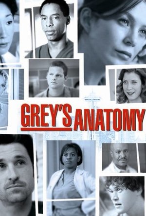 Grey&#039;s Anatomy  - Season 2