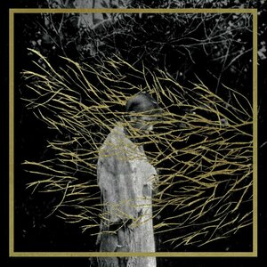 Engravings by Forest Swords
