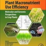 Plant Macro-Nutrient Use Efficiency: Molecular and Genomic Perspectives in Crop Plants