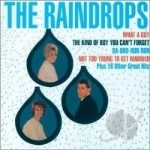 Raindrops by The Raindrops