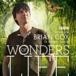 Wonders of Life