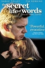 The Secret Life of Words (2006)