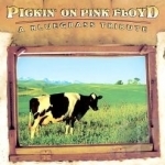 Pickin&#039; on Pink Floyd: A Bluegrass Tribute by Pickin On