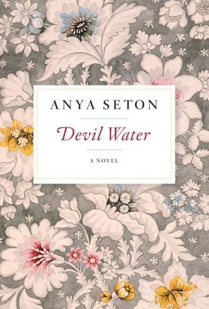 Devil Water: A Novel