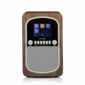 M1 Portable Digital Radio 