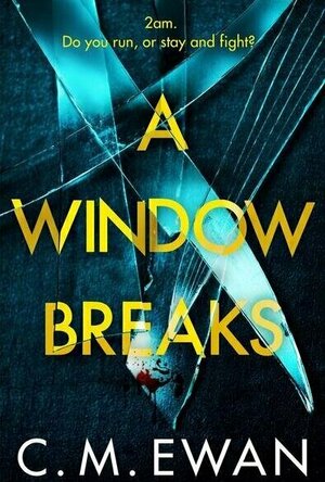 A Window Breaks