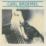 All Birds Say by Carl Broemel