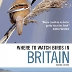 Where to Watch Birds in Britain