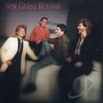 Hold to a Dream by New Grass Revival